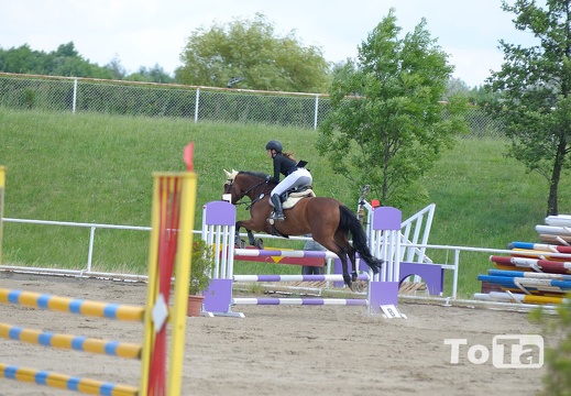 DSC 6601 (256 visits) DSC 6601