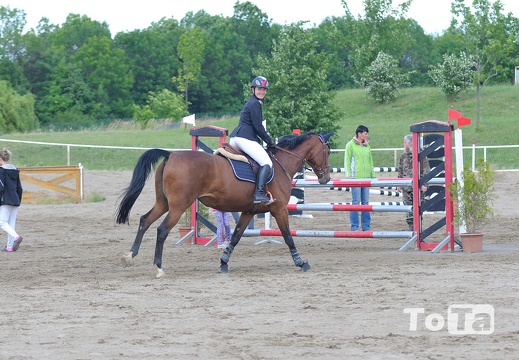 DSC 6649 (172 visits) DSC 6649