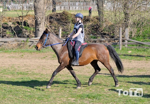 DSC 6674 (509 visits) DSC 6674