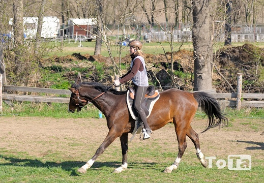 DSC 6677 (543 visits) DSC 6677