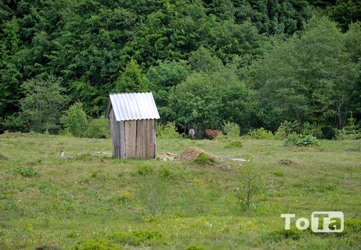 DSC 5053 (360 visits) DSC 5053