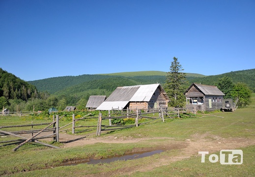DSC 5251 (341 visits) DSC 5251