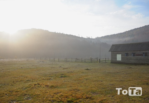 DSC 2982 (252 visits) DSC 2982