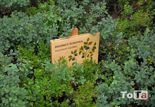 DSC 1750 (135 visits) DSC 1750