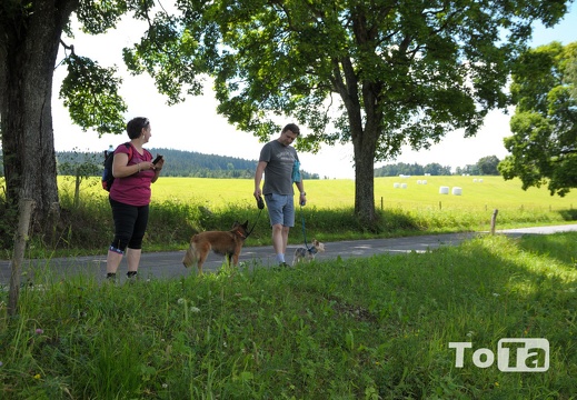 DSC 1900 (67 visits) DSC 1900