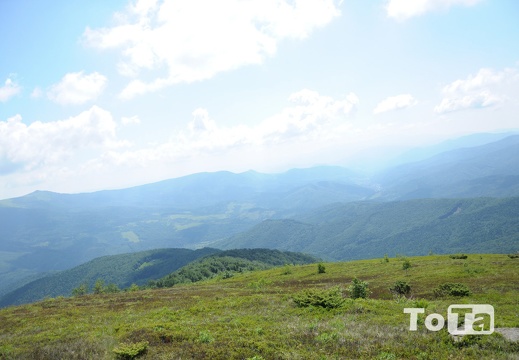 DSC 09653 (467 visits) DSC 09653