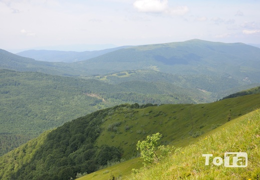 DSC 09694 (239 visits) DSC 09694