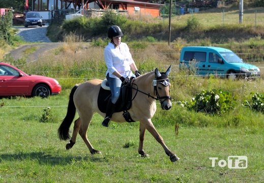 DSC 09527 (147 visits) DSC 09527