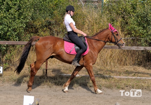 DSC 10476 (136 visits) DSC 10476