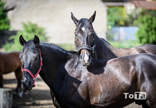 DSC3605 (152 visits) DSC3605