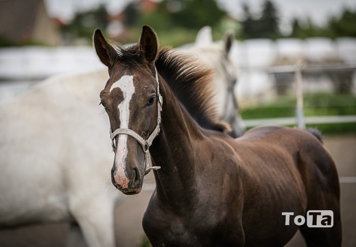 DSC3653 (151 visits) DSC3653