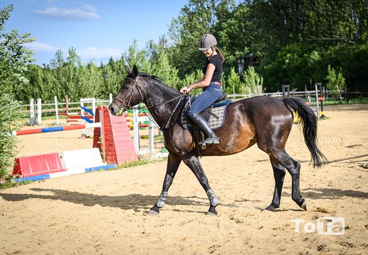 DSC4188 (96 visits) DSC4188