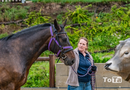 DSC4021 (41 visits) DSC4021
