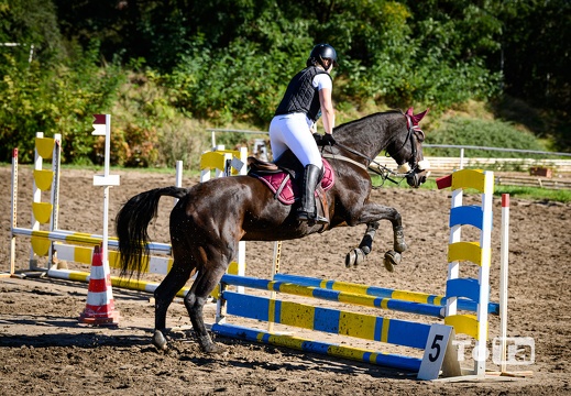 DSC6519 (149 visits, rating score 4.99) DSC6519
