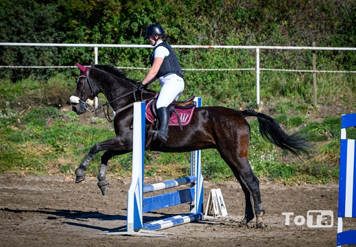 DSC6532 (132 visits, rating score 4.99) DSC6532