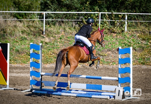 DSC6601 (107 visits, rating score 4.99) DSC6601