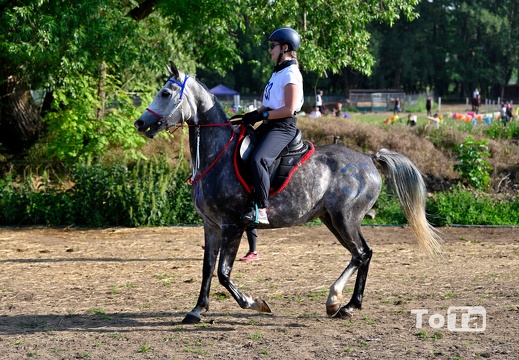 DSC2145 (118 visits) DSC2145
