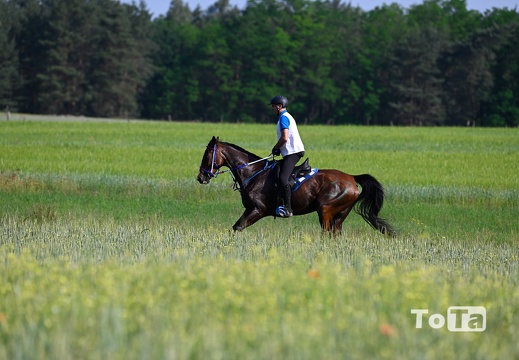 DSC2244 (93 visits) DSC2244