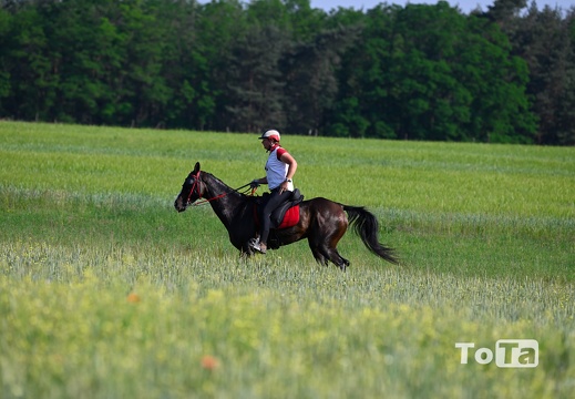 DSC2245 (106 visits) DSC2245