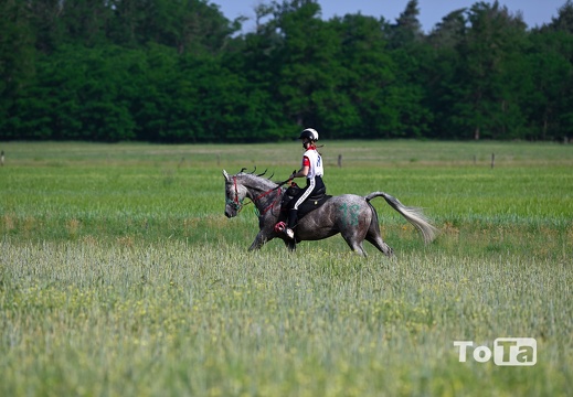 DSC2272 (72 visits) DSC2272