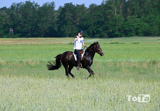 DSC2293 (80 visits) DSC2293