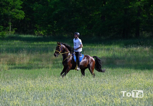 DSC2335 (63 visits) DSC2335