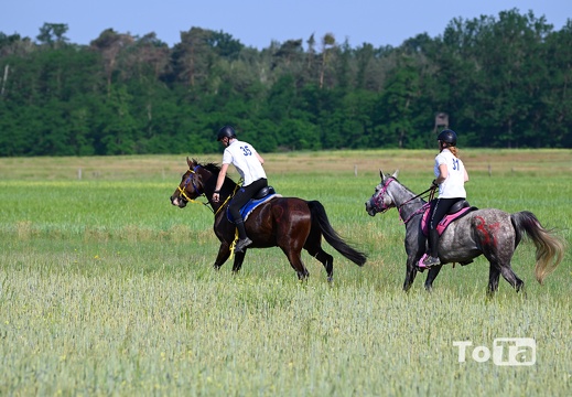 DSC2348 (60 visits) DSC2348