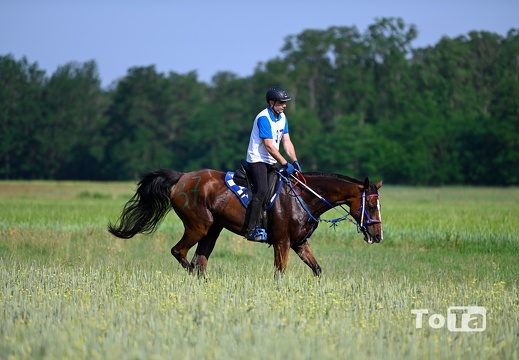 DSC2358 (60 visits) DSC2358