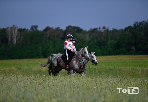 DSC2380 (72 visits) DSC2380