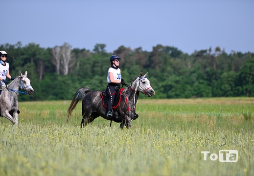 DSC2406 (61 visits) DSC2406