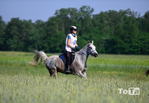 DSC2413 (68 visits) DSC2413