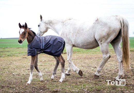 DSC3274 (14 visits) DSC3274