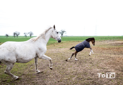 DSC3540 (14 visits) DSC3540