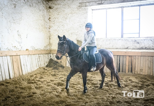 DSC4334 (27 visits) DSC4334