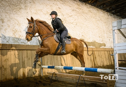 DSC4393 (27 visits) DSC4393