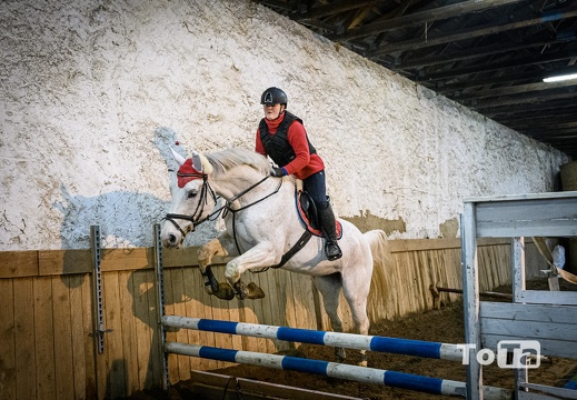 DSC4451 (35 visits) DSC4451