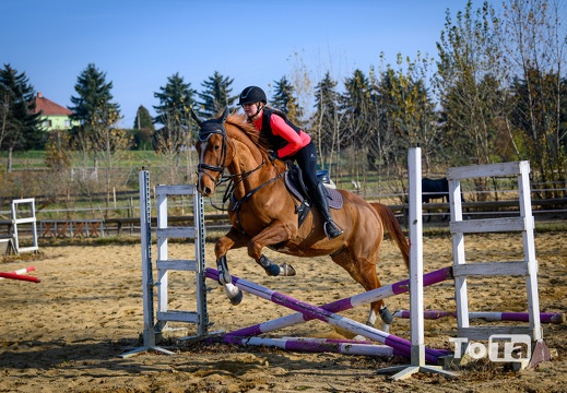 DSC2013 (46 visits) DSC2013