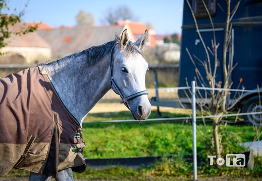 DSC2077 (35 visits) DSC2077