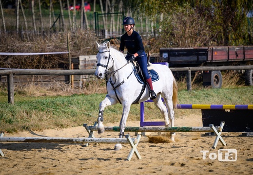 DSC2107 (24 visits) DSC2107