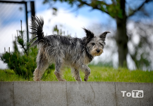 DSC7168 (62 visits) DSC7168