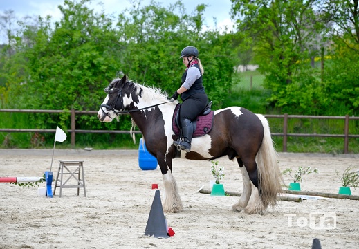 DSC7187 (54 visits) DSC7187