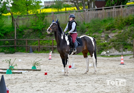 DSC7948 (23 visits) DSC7948