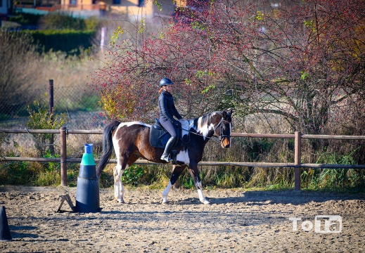 DSC2148 (26 visits) DSC2148