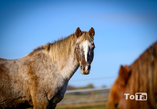 DSC2211 (22 visits) DSC2211