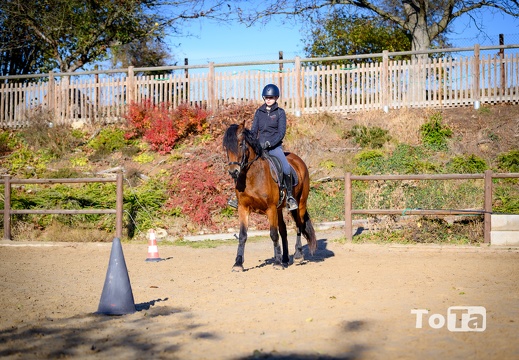 DSC2235 (14 visits) DSC2235
