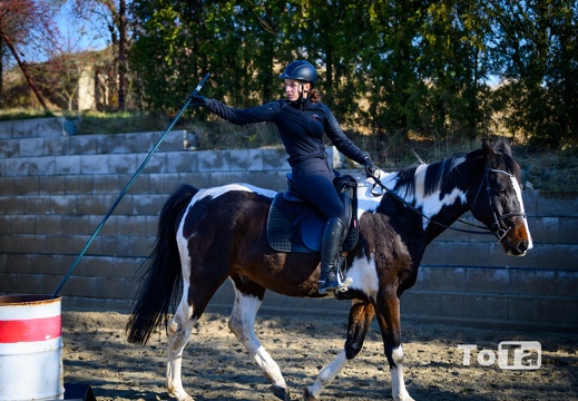 DSC2285 (17 visits) DSC2285