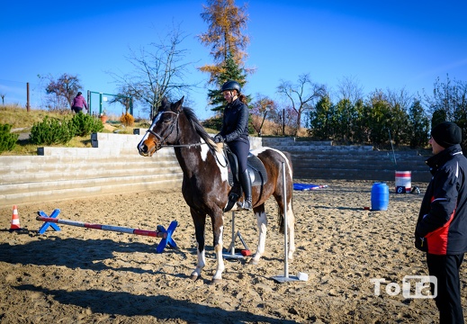 DSC2338 (15 visits) DSC2338