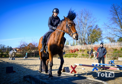 DSC2376 (15 visits) DSC2376