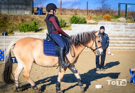 DSC2482 (14 visits) DSC2482