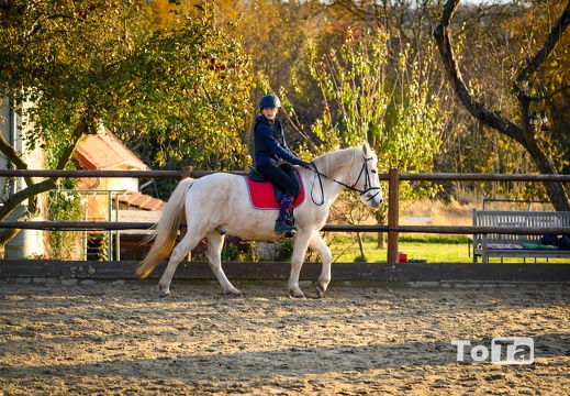 DSC2574 (14 visits) DSC2574